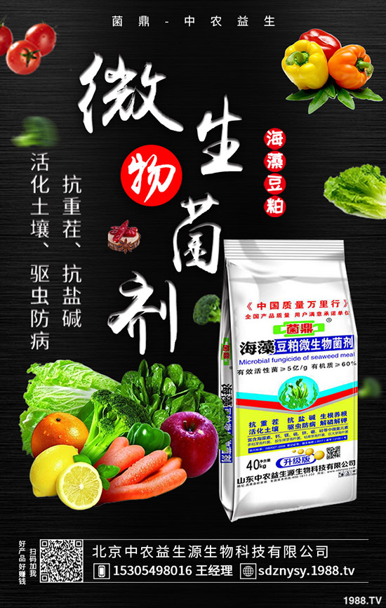     二銨全力發(fā)運春耕需求，價格穩(wěn)定！最新二銨行情走勢2020-3-28！