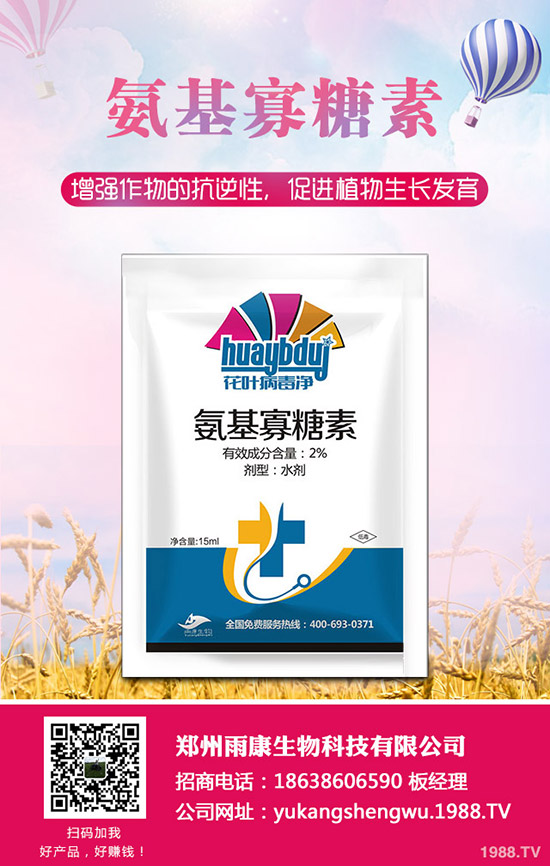 番茄發(fā)生肥害怎么辦？番茄肥害怎么快速恢復(fù)？