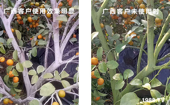 廣西客戶使用效果明顯和未使用時！