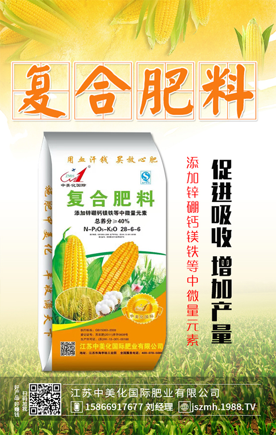 茄子什么時(shí)間育苗？茄子育苗的栽培管理要點(diǎn)！