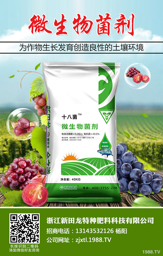 南瓜需肥規(guī)律，南瓜的施肥方法