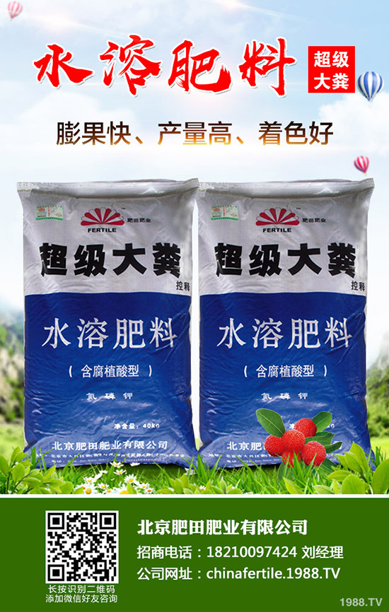 葡萄春季管理到底要做些什么？春季葡萄管理技術(shù)！