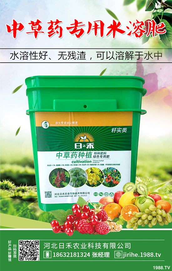 射干該怎么種植？中藥材射干的種植技術(shù)要點(diǎn)