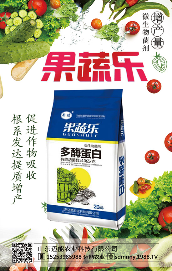 如何讓西瓜種子發(fā)芽？西瓜生長發(fā)育對環(huán)境條件的要求！	