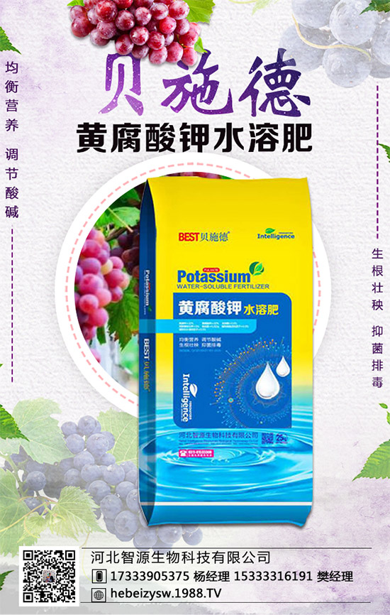 西瓜的生育周期，西瓜播種要點(diǎn)及種植密度！