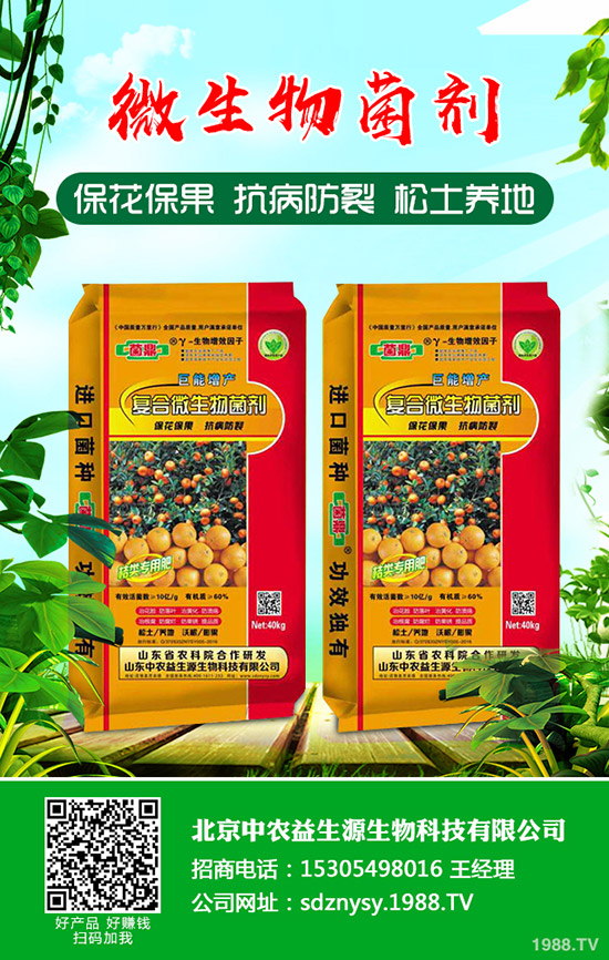     磷肥市場(chǎng)整體平緩！最新一銨二銨價(jià)格分析2020年4月10日！