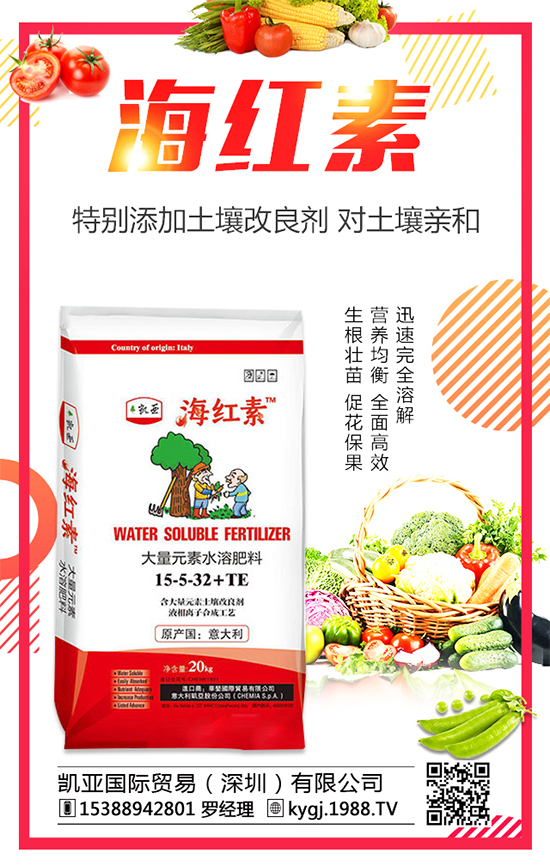 辣椒種植發(fā)展的現(xiàn)狀如何？辣椒高產(chǎn)種植技術(shù)要點(diǎn)！