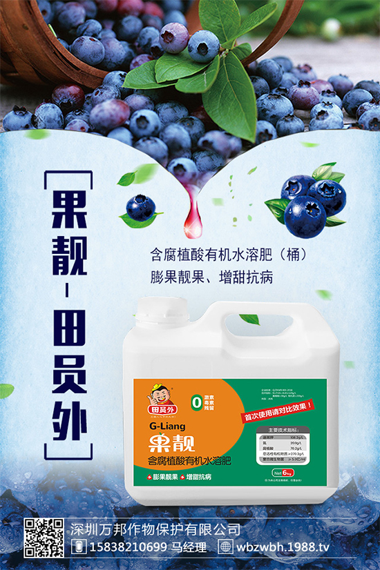 太子參的市場(chǎng)前景如何？2020太子參種植的效益分析