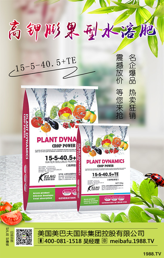 �ϹϷ��Ďׂ�(g��)���L�A�����Ϲό�(du��)�������I�B(y��ng)Ҫ��