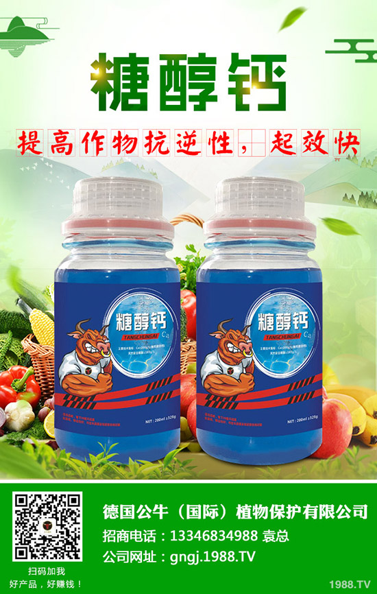 ����ʩ���v����������ʩ���Ľ���