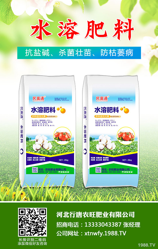 香菜如何種植香味濃產(chǎn)量高？韓國大棵香菜栽培技術！