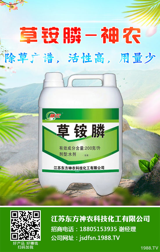 蒲公英種植如何實現(xiàn)高產(chǎn)？種植蒲公英效益如何呢？