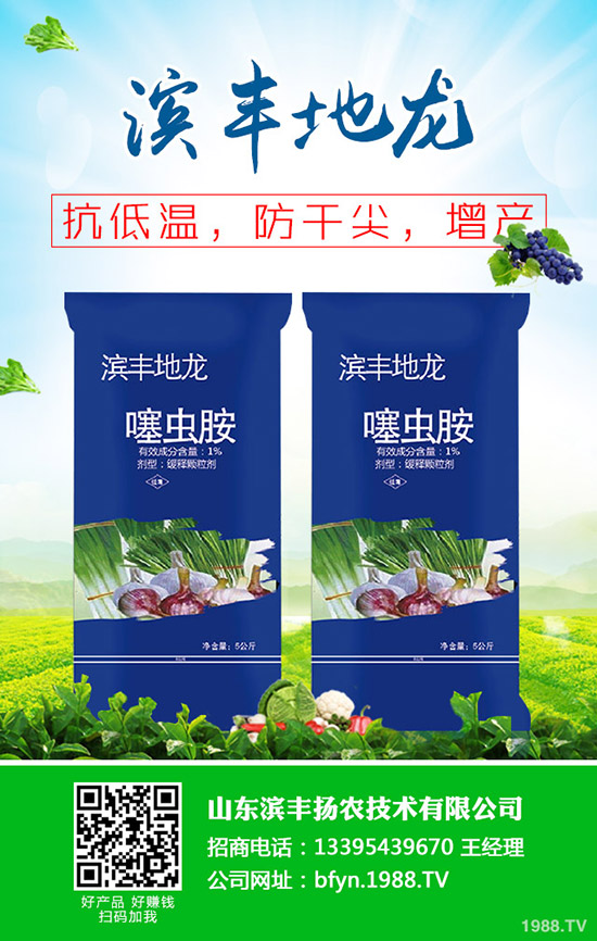     小麥什么時間抽穗？小麥早出穗危害！怎么辦？補救措施有哪些？