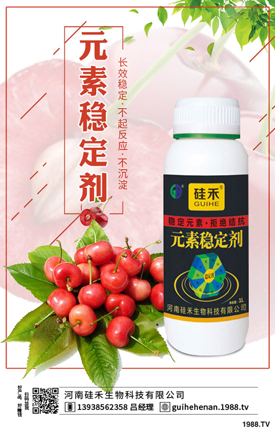 玉米需肥規(guī)律是什么？玉米配方施肥技術(shù)！