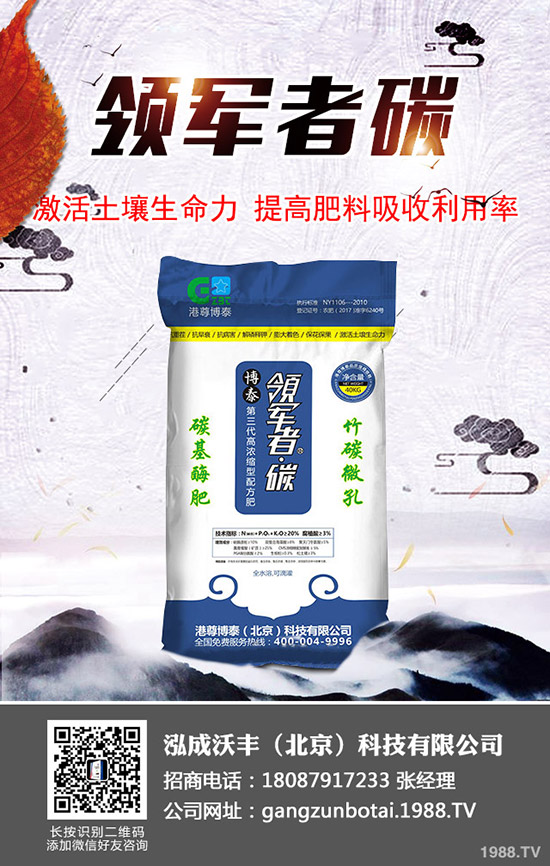 西紅柿徒長(zhǎng)怎么辦？科學(xué)預(yù)防西紅柿徒長(zhǎng)的方法