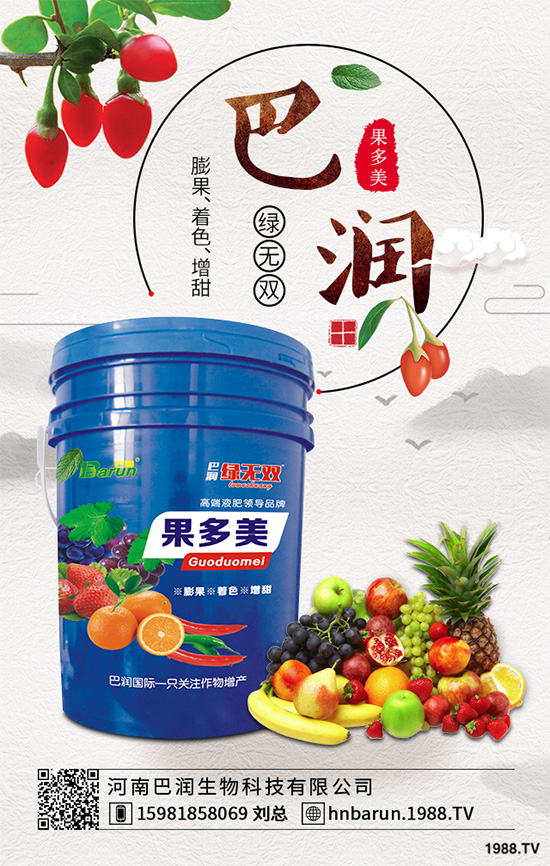     露地番茄該如何定植？定植密度是高產(chǎn)重要措施，快看看老農(nóng)怎么做！