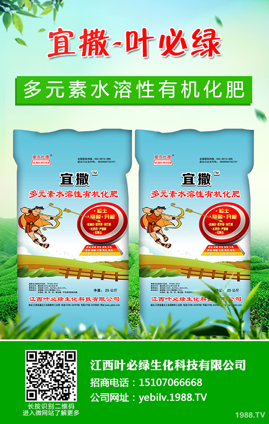 葫蘆種子怎么種 葫蘆種子催芽方法有哪些？