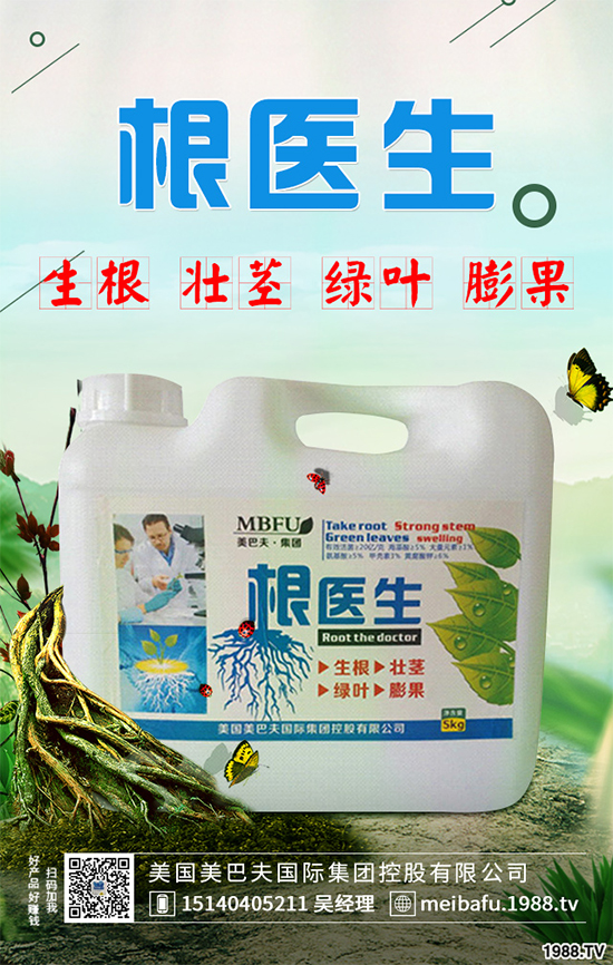 春花生什么時候播種？春花生的播種時間及注意事項(xiàng)