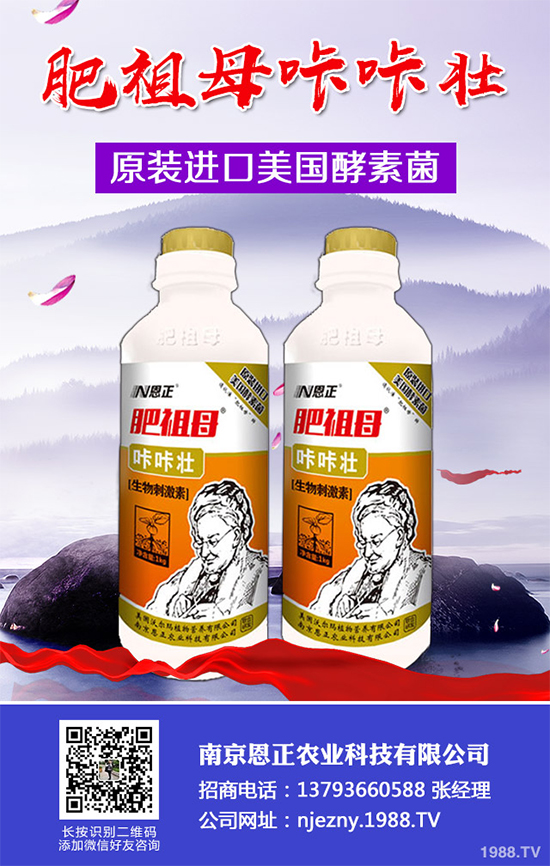    春花生為何不能播種過早或過晚？播種時(shí)間應(yīng)該在4月還是5月？答案來了！