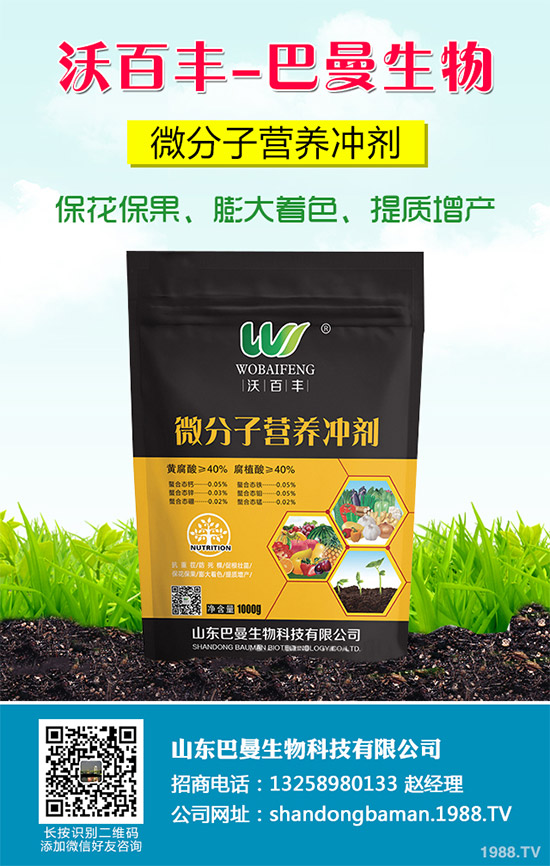 春花生播種的常見(jiàn)誤區(qū)，不少農(nóng)戶犯過(guò)錯(cuò)（附解決方案）