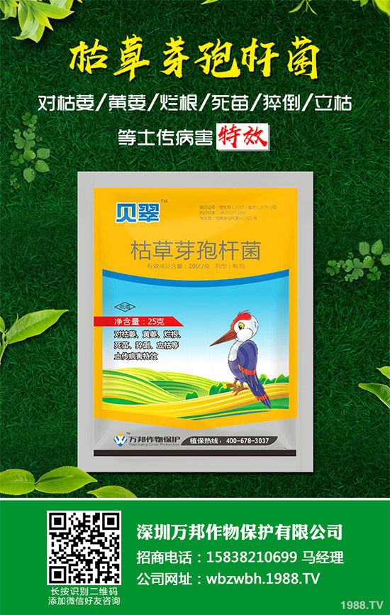 小麥赤霉病藥劑防治效果，有了新變化！