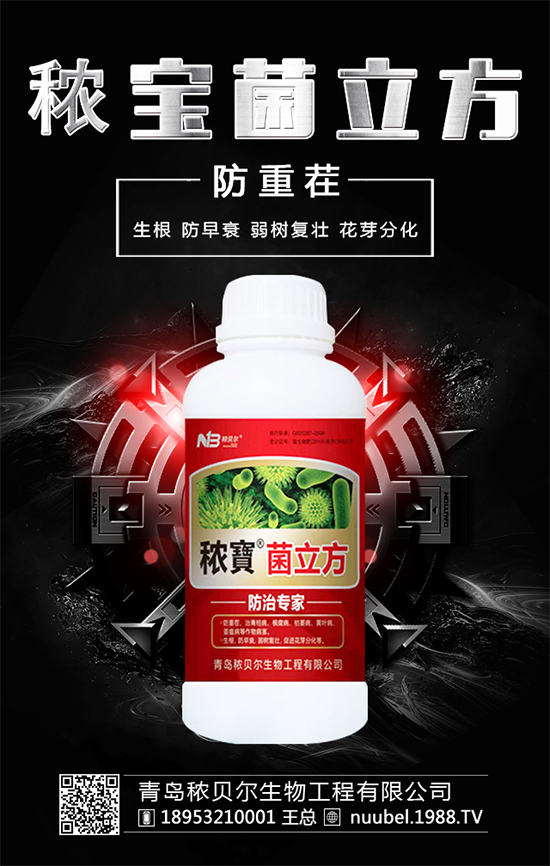 白芍什么時候可以采收？采收后的白芍怎么處理？