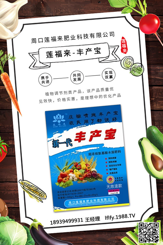 珠子參種子育苗要點(diǎn)，珠子參種植方法及田間管理！