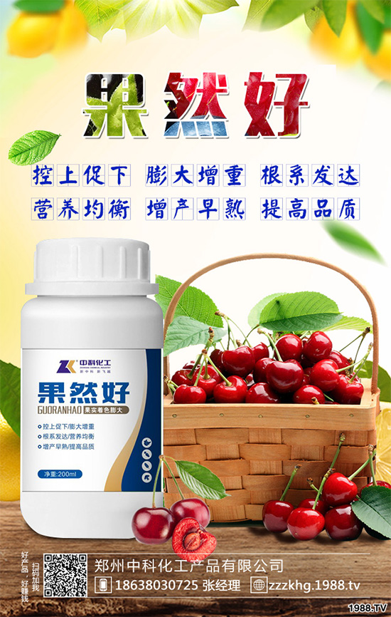 油麥菜有哪些營養(yǎng)價(jià)值？常吃油麥菜那些神奇效果？一起看看吧！