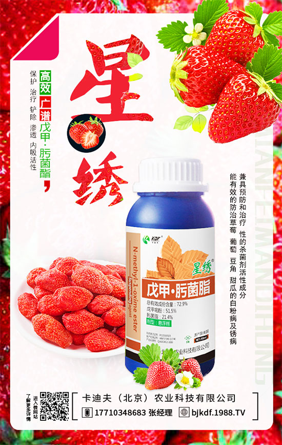 豆角要不要打尖？豆角如何正確整枝打尖呢？