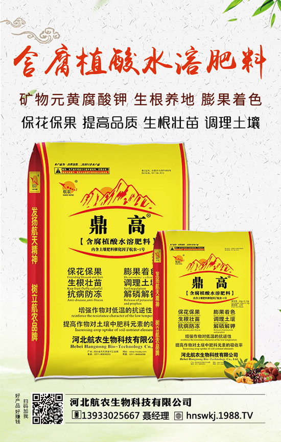 西瓜枯萎病如何防治？西瓜枯萎病和青枯病的區(qū)分！