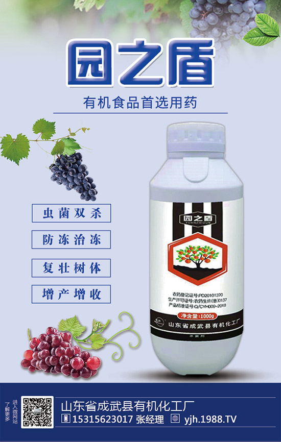 甘蔗需肥特性，甘蔗施肥技術(shù)和要點！