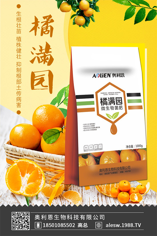 怎么區(qū)別大茴香和小茴香？茴香種植注意事項(xiàng)！