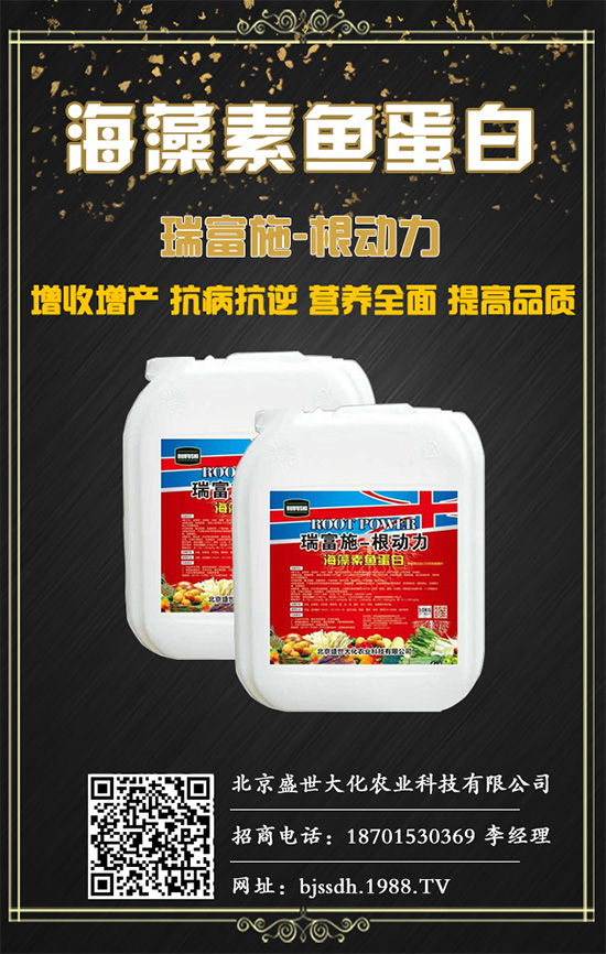 土茯苓是什么植物？土茯苓的功效與作用有哪些？