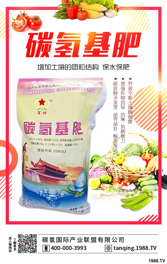 茶花盆景如何施肥，茶花盆景的施肥技巧有哪些