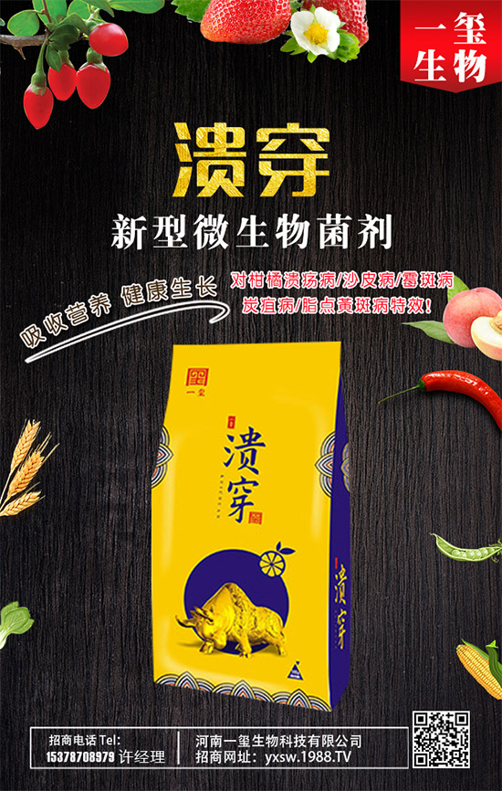 爬山虎的繁殖方法，爬山虎如何養(yǎng)護？