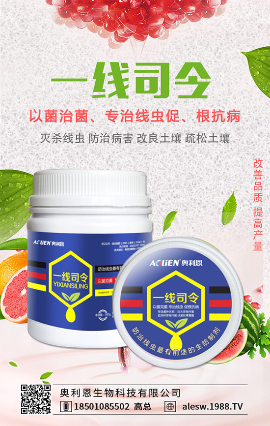 豌豆基腐病有什么危害？豌豆基腐病的發(fā)生規(guī)律及防治！