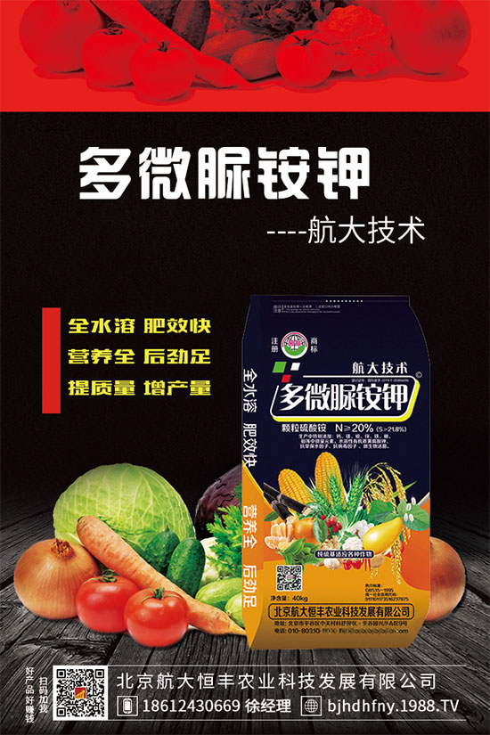 三七種子怎么種植？三七功效與作用有哪些？