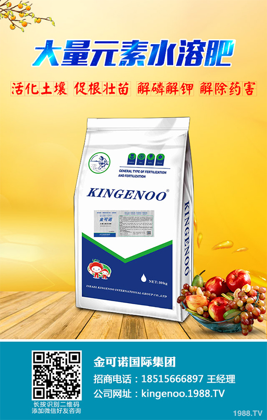 種植油茶能掙錢嗎？2020年油茶樹種植前景及效益分析