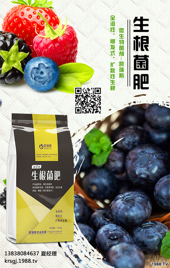     �Ͳ�ٲ�������GС��ľ������ɫ��ζ�㣬�I�B(y��ng)�S�������A�أ��ǃ�(y��u)�|(zh��)ʳ���� ��Ҳ�����静���͡����P�����ڹ��I(y��)��������҇������Ͳ�a(ch��n)�^(q��)���������Ą�Nֲ�Ͳ衣��ô���Ͳ�Nֲ��������Щ��(y��u)���أ�