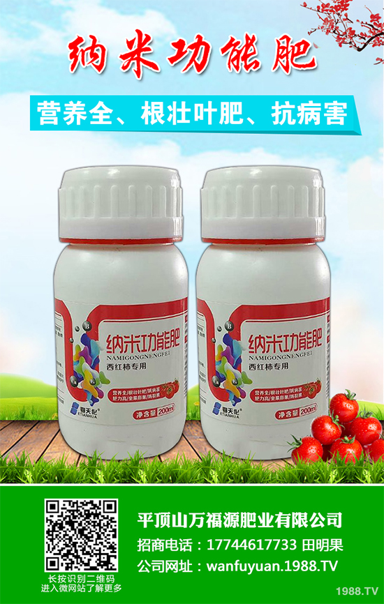 水蜜桃該如何種植？五步教你輕松種出肉厚多汁水蜜桃！