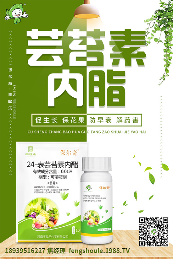 苦瓜苗怎么嫁接？苦瓜嫁接高產(chǎn)種植技術(shù)！