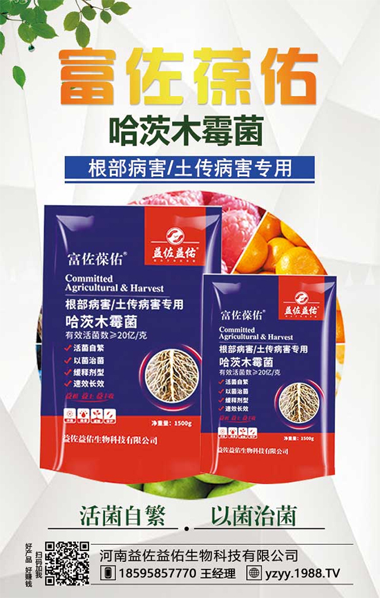 芋頭都有什么營養(yǎng)價值？吃芋頭有什么好處？