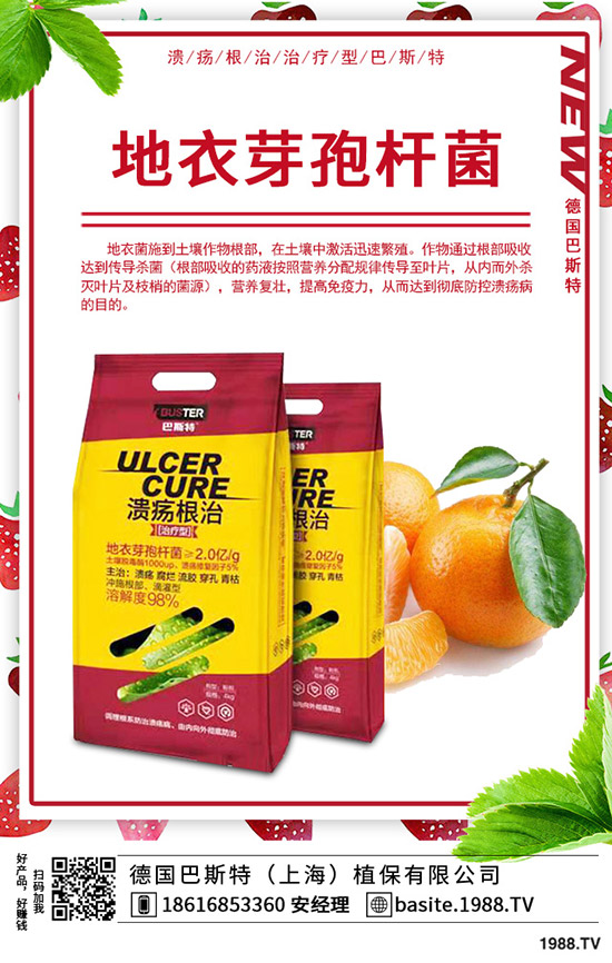  香椿怎么種植，種植密度該多大？香椿苗種植方法！