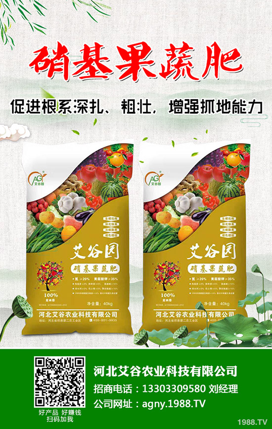     五一假期后，鉀肥行情開始回轉(zhuǎn)！2020年5月11日最新鉀肥價格早報！