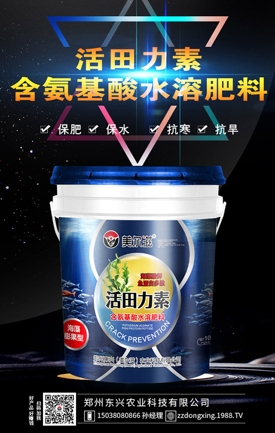 牛大力的種植的前景怎樣，牛大力種植技術(shù)及苗期管理！