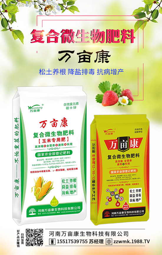 白掌不開花是什么原因？白掌不開花解決措施！
