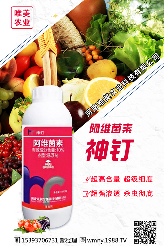 洋蔥的栽培品種有哪些？種植洋蔥對(duì)環(huán)境條件的要求！