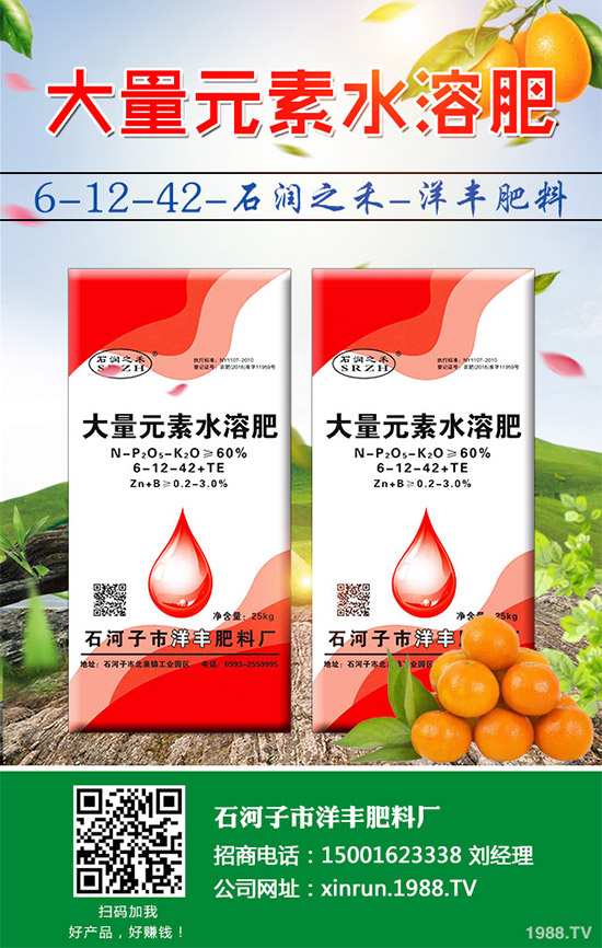 黃瓜嫁接好在哪里？有何優(yōu)勢(shì)？黃瓜嫁接的流程及注意事項(xiàng)