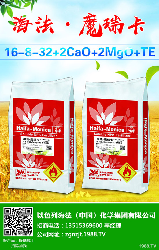     葡萄樹勢旺長發(fā)生原因有哪些？該怎么辦？葡萄的夏季控旺技術(shù)！