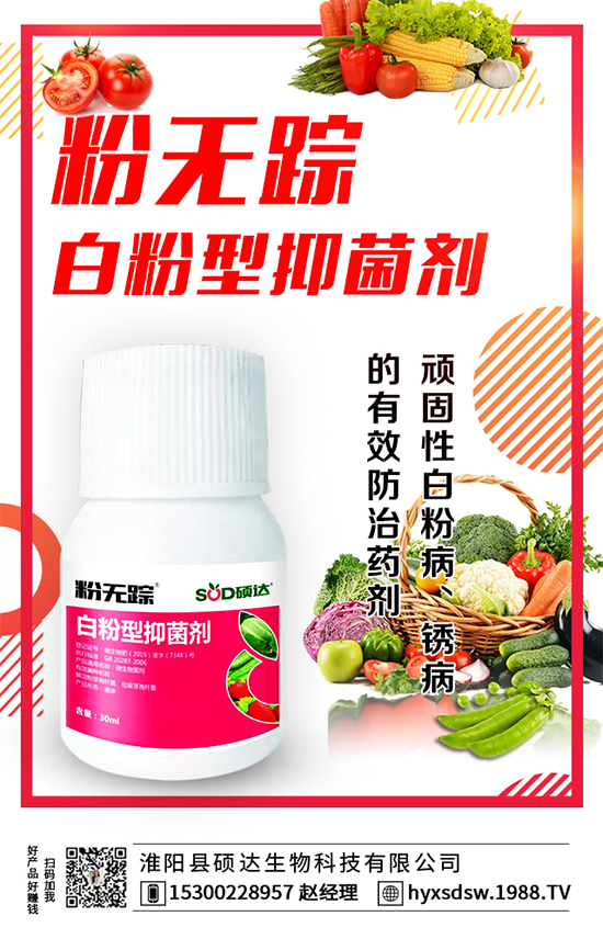 板栗怎么種植？板栗種植技術(shù)要點！